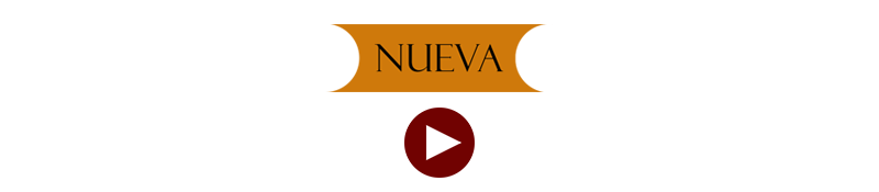 categoria de estrellas